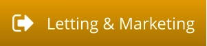 Letting & Marketing